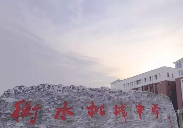 警方通报“桃城中学猥亵事件”：1人被采取刑事强制措施，还有2未成年涉案休闲区蓝鸢梦想 - Www.slyday.coM