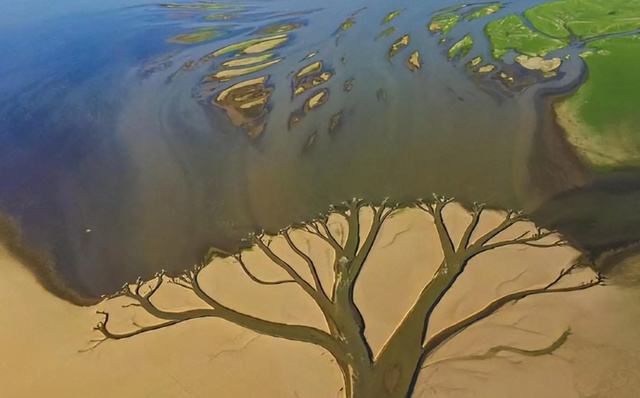 史上最早寒潮预警来袭！今年冬季真是冷冬吗？未来气候波动或更大休闲区蓝鸢梦想 - Www.slyday.coM