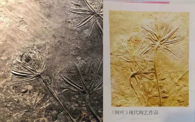 初中英语课本上有李云迪 网友 曾经背过 手机新浪网 初中英语课本上有李云迪 网友 曾经背过 手机新浪网