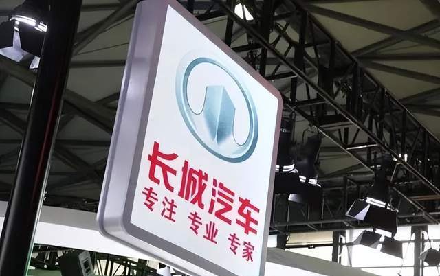 长城汽车入职看银行流水吗 新浪网