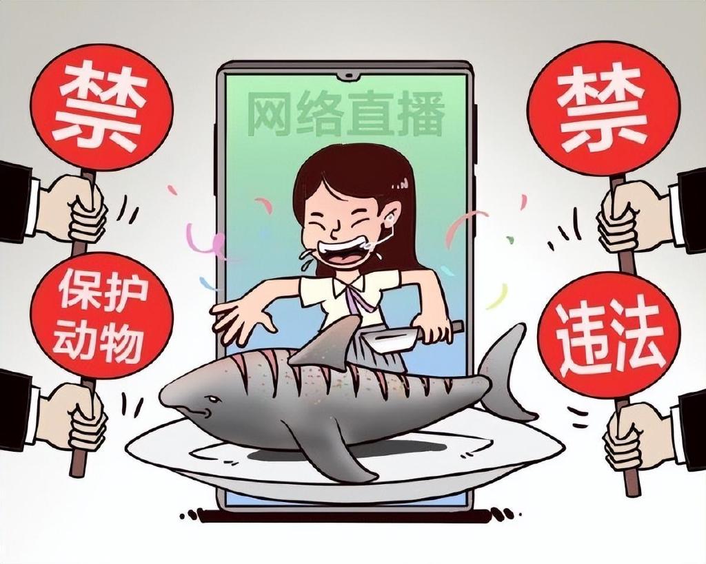 又一网红被封禁!网红博主“提子”烹食大白鲨或面临10年以上刑罚休闲区蓝鸢梦想 - Www.slyday.coM 又一网红被封禁!网红博主“提子”烹食大白鲨或面临10年以上刑罚休闲区蓝鸢梦想 - Www.slyday.coM