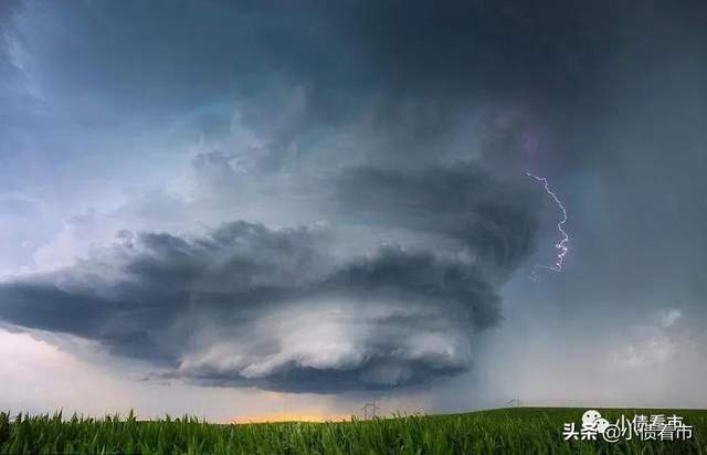 “浙江首例政信违约”再爆猛料 承销商涉嫌非吸被立案(图5)