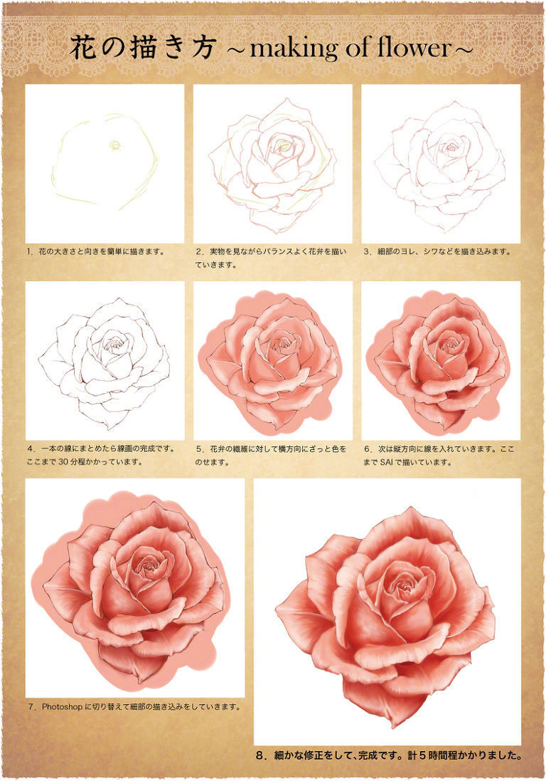 蔷薇玫瑰的画法 蔷薇玫瑰的画法