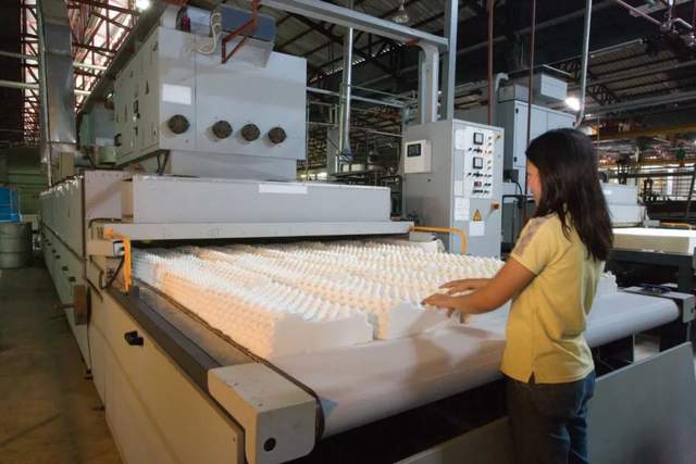 泰国乳胶枕到底是不是智商税