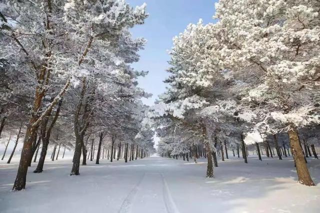 沈洋镇:绘就美丽乡村新画卷|沈洋镇|乡村|全镇_新浪新闻