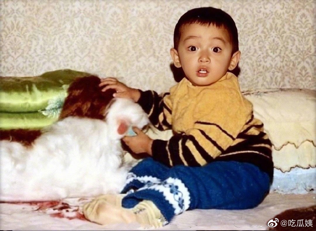 胡歌小时候好可爱,肉嘟嘟的小胖子姐姐捏脸一把