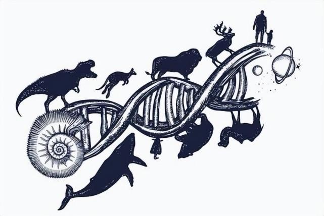 为什么生物进化的方式普遍是繁衍,而不是永生?|永生|生物进化|大自然_新浪新闻