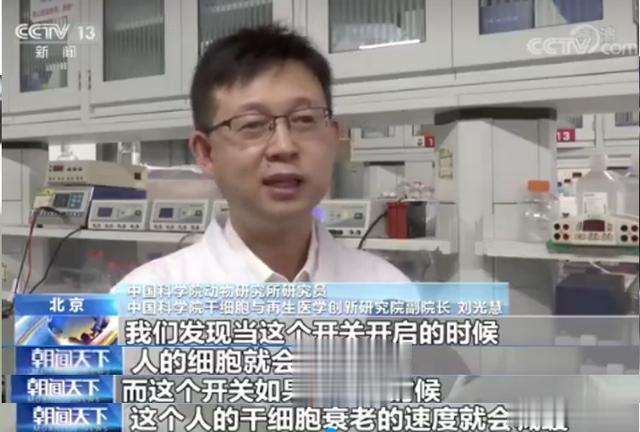 我国首创！中科院找到人类“基因老化开关”，关闭它使剩余寿命翻倍|小鼠|细胞|人民币|刘光慧_新浪新闻