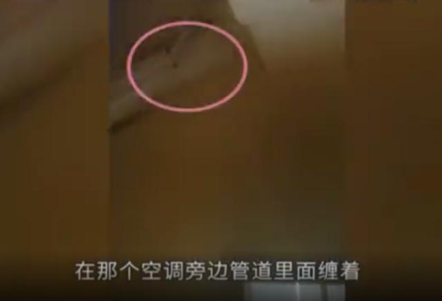 情侣在酒店房间发现摄像头，酒店方：我怀疑是你们自己装的！最多赔1万休闲区蓝鸢梦想 - Www.slyday.coM
