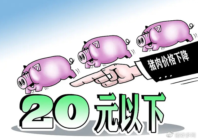 最新猪肉终于要掉价一头猪可赚1000元有猪企今年已大赚10亿