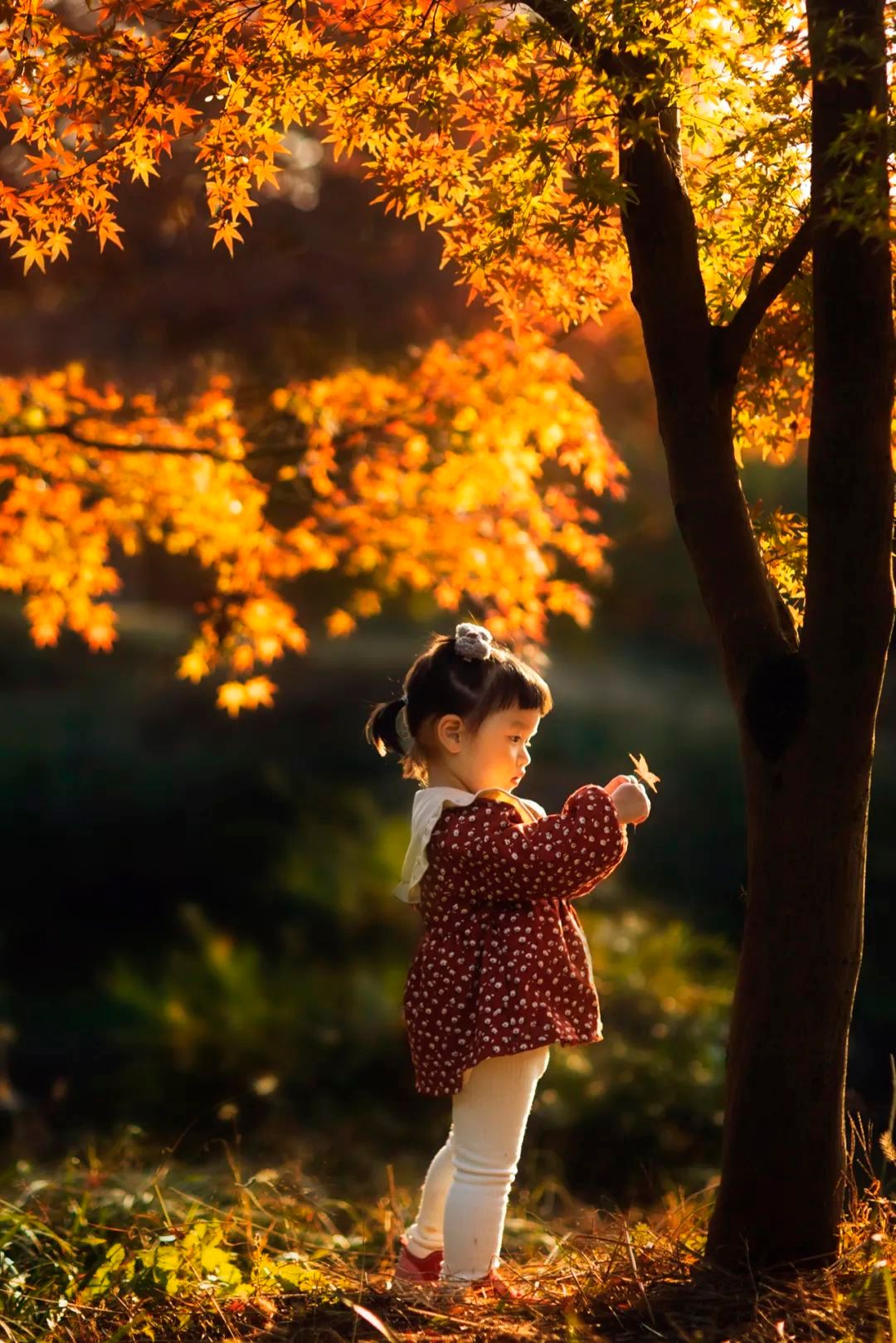 秋日氛围感儿童写真怎么拍?在这个季节留下最美的成长回忆!