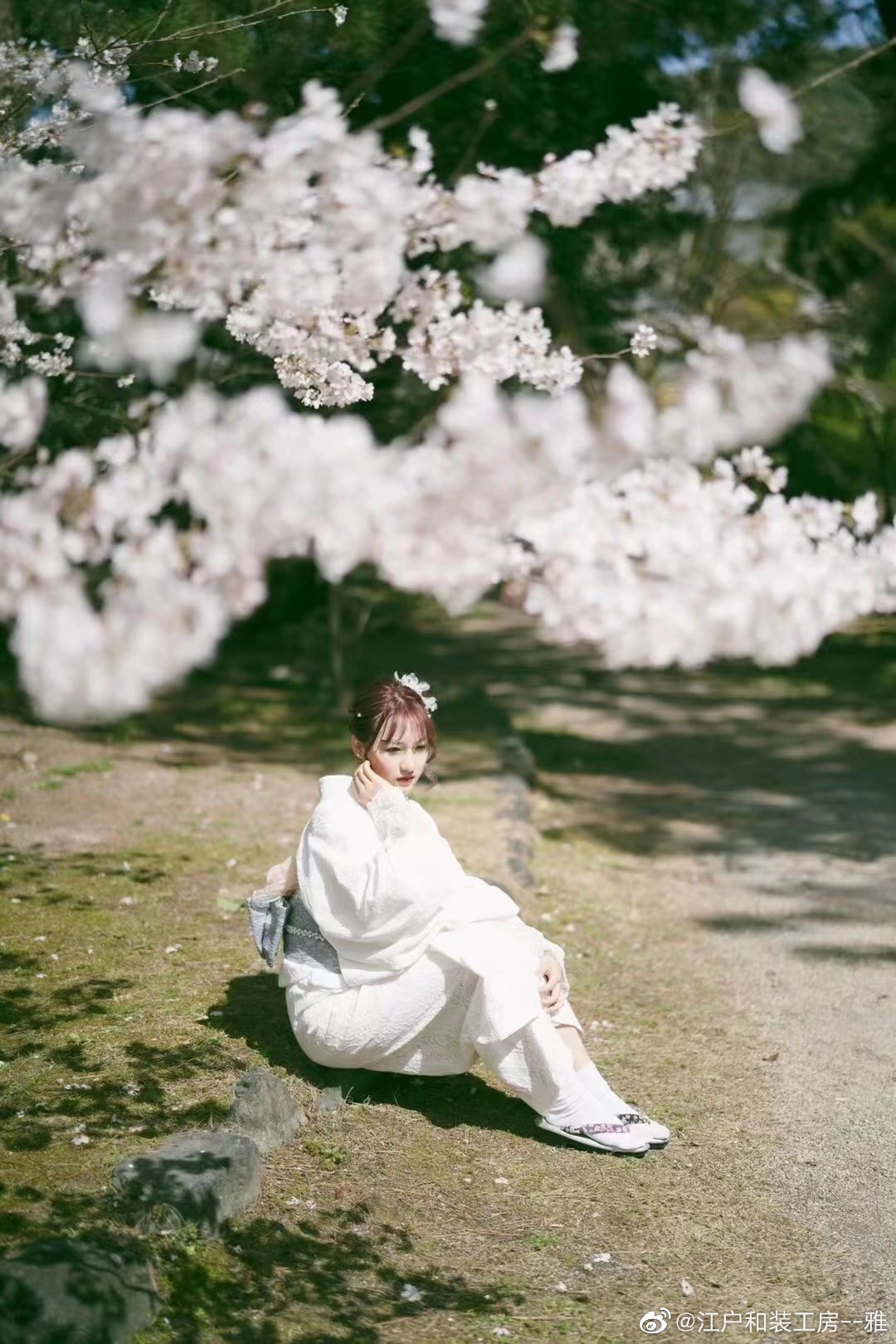 京都客照来啦最近也太适合姐妹一起拍樱花了吧