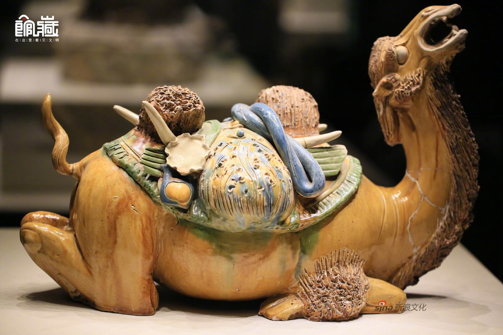 唐代三彩釉陶卧驼,2002年于西安市长安区郭杜乡唐墓m31出土_高清图集