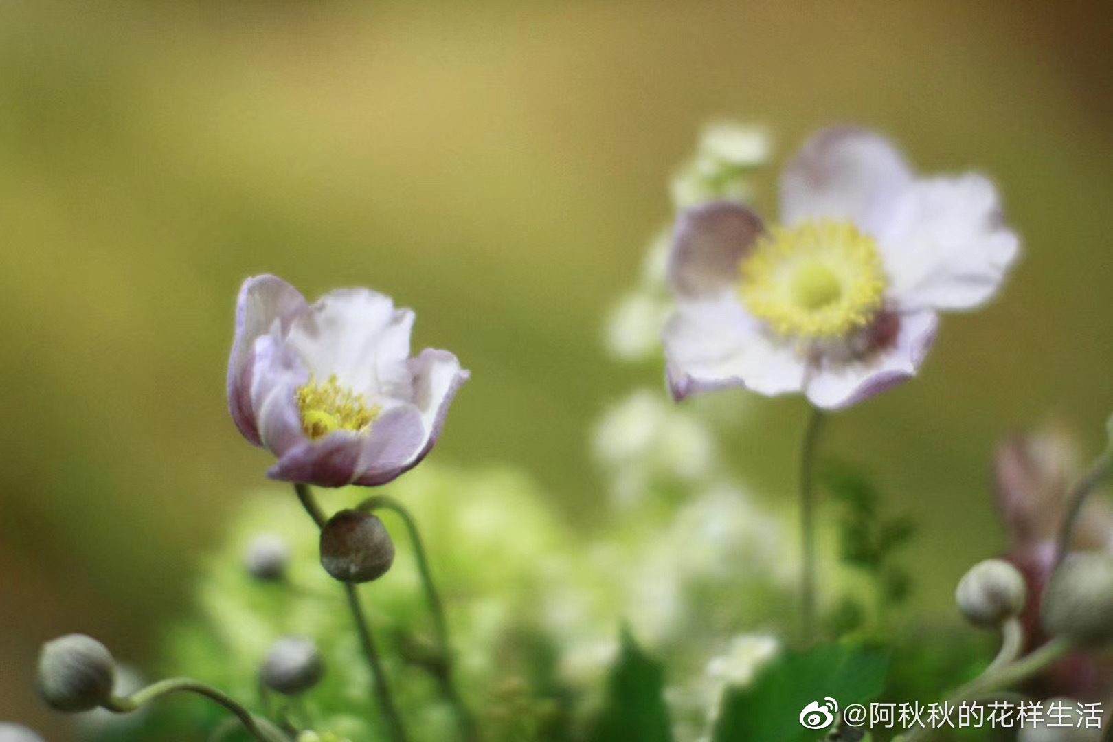 上海漫选 花空间 的 格调感摩登感都很足很足很足