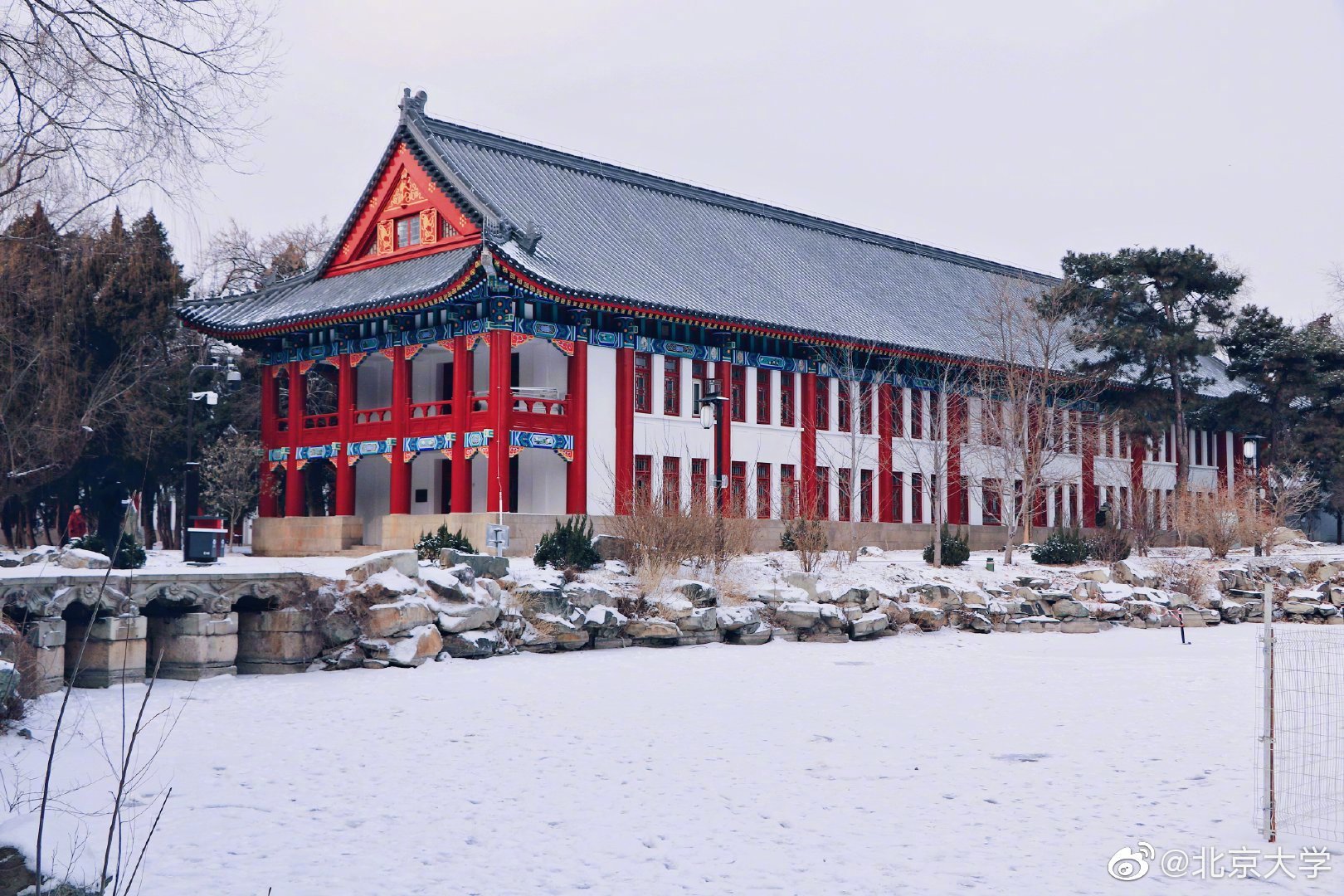 北京大学 的雪_高清图集_新浪网