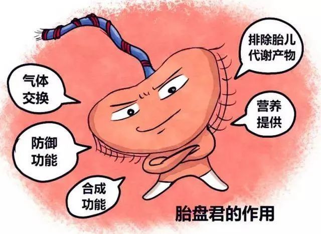 寿光市中医医院休闲区蓝鸢梦想 - Www.slyday.coM 寿光市中医医院休闲区蓝鸢梦想 - Www.slyday.coM