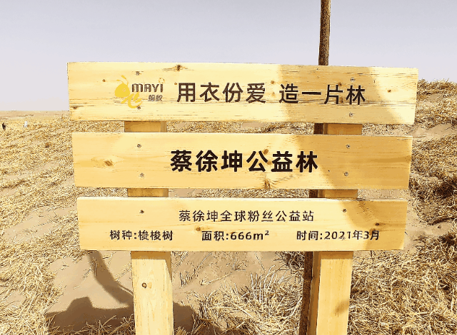 飞蚂蚁|民勤|梭梭_新浪新闻