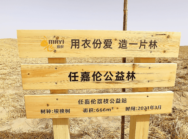 飞蚂蚁|民勤|梭梭_新浪新闻