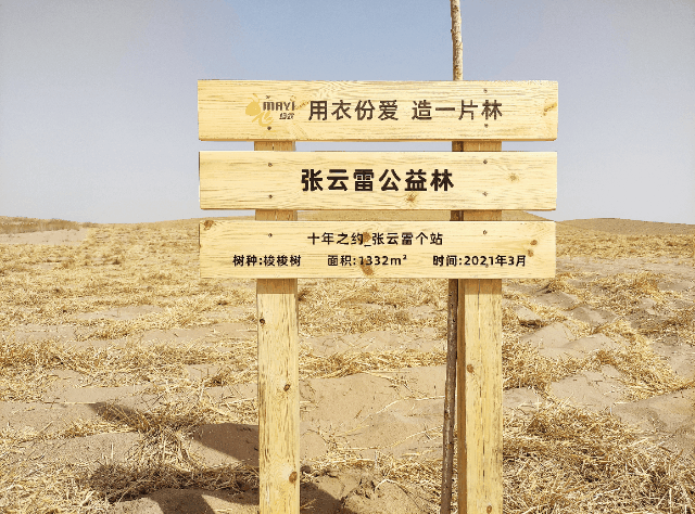 飞蚂蚁|民勤|梭梭_新浪新闻