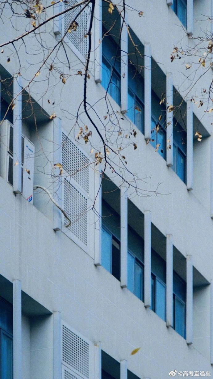 校园风景 | 四川师范大学的光影__财经头条