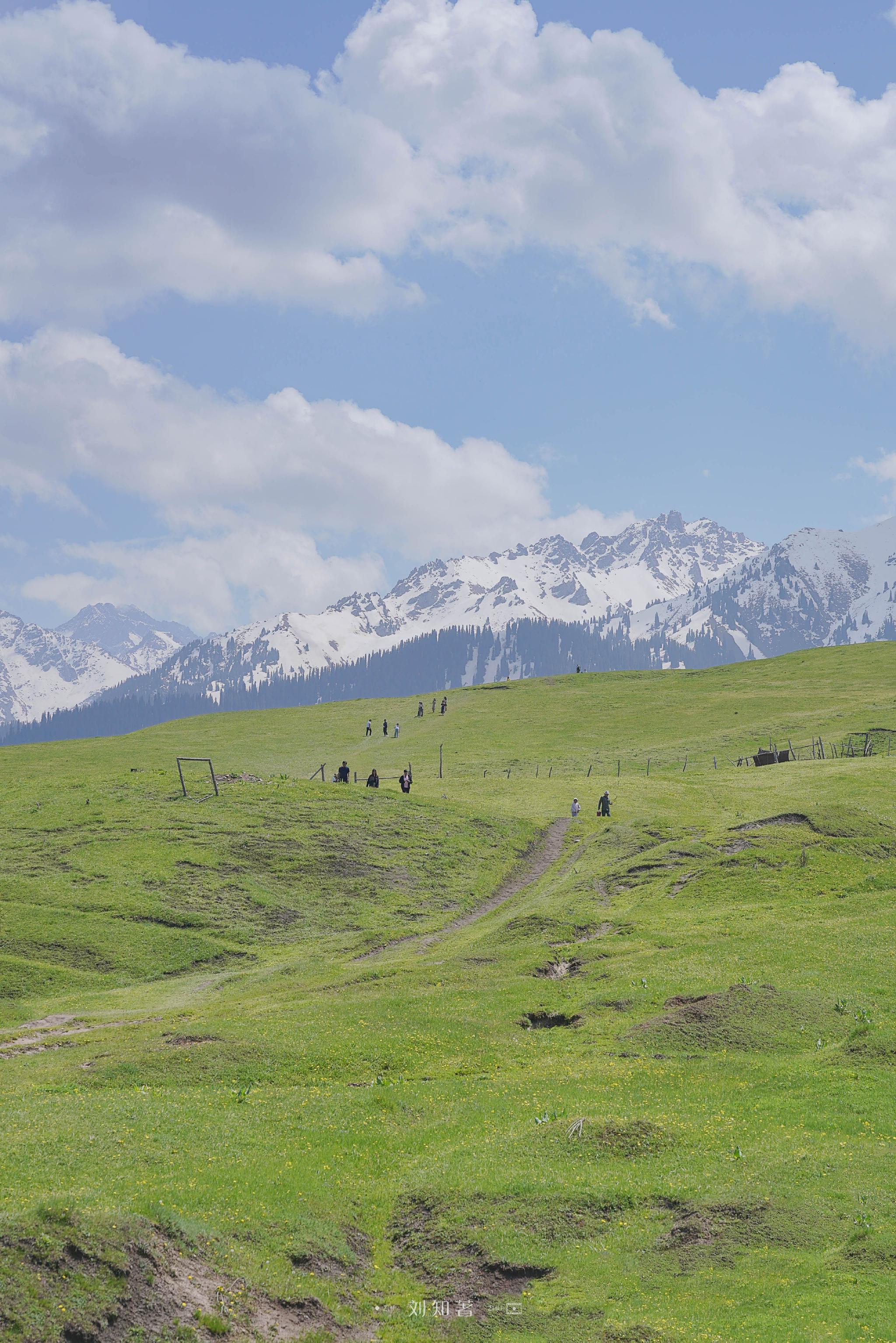 蓝天,白云,雪山,森林,草原……_高清图集_新浪网