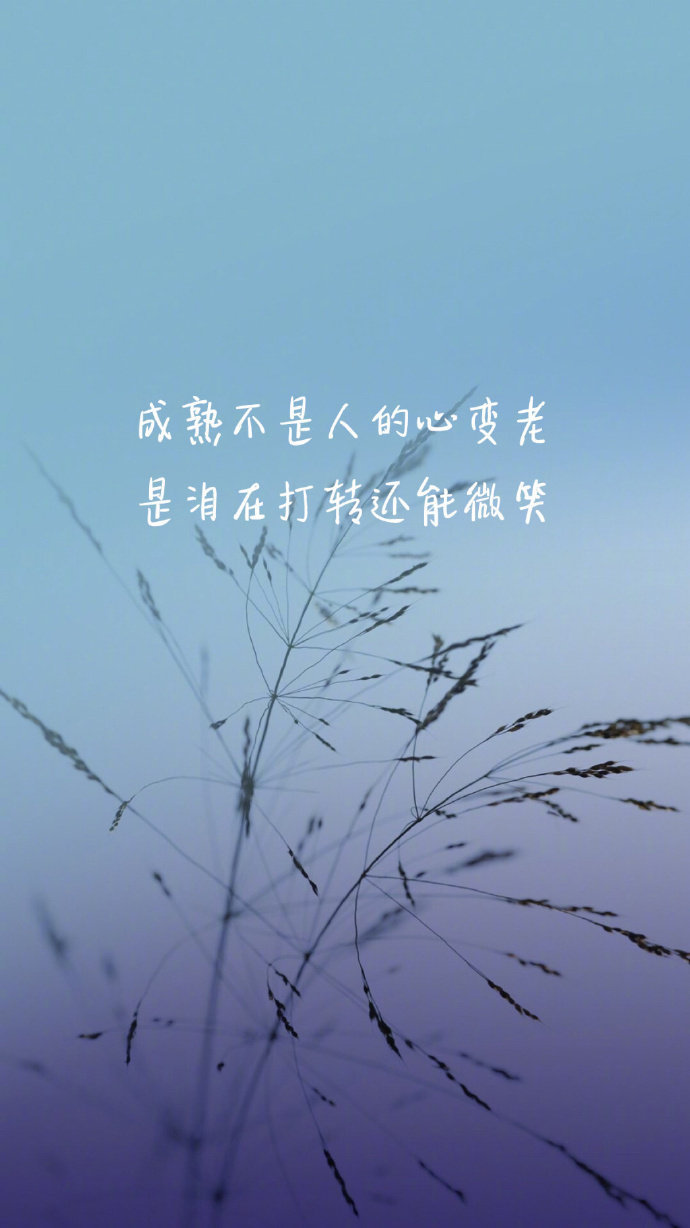 让您的故事焕发生机:使用 Wondershare 编辑视频和照片 (让您的故事焕发光彩)