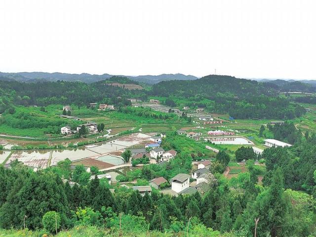 蓬溪县常乐镇拱市村 计划5年内打造成全国乡村振兴示范村