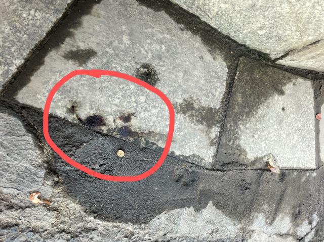 识破皮箱藏尸的出租车司机疑被网暴 男子箱子内藏女尸打车被识破细节曝光!行李箱藏尸案后续最新消息休闲区蓝鸢梦想 - Www.slyday.coM 识破皮箱藏尸的出租车司机疑被网暴 男子箱子内藏女尸打车被识破细节曝光!行李箱藏尸案后续最新消息休闲区蓝鸢梦想 - Www.slyday.coM