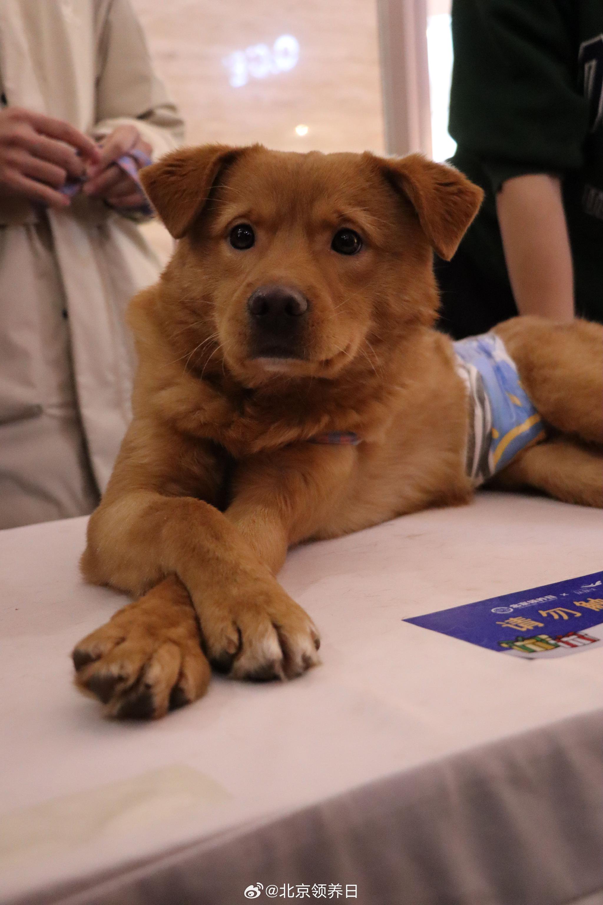 月亮,胆大亲人活泼可爱长腿欧巴,行走的表情包……_高清图集_新浪网