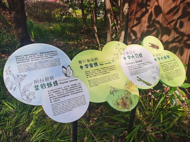 古北黄金城道步行街升级后，更具国际精品城区的气质了！休闲区蓝鸢梦想 - Www.slyday.coM