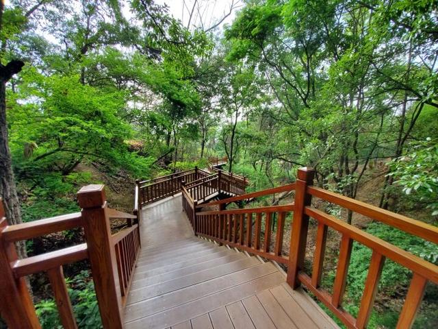 终于等到你寥廓山城市森林公园项目竣工啦