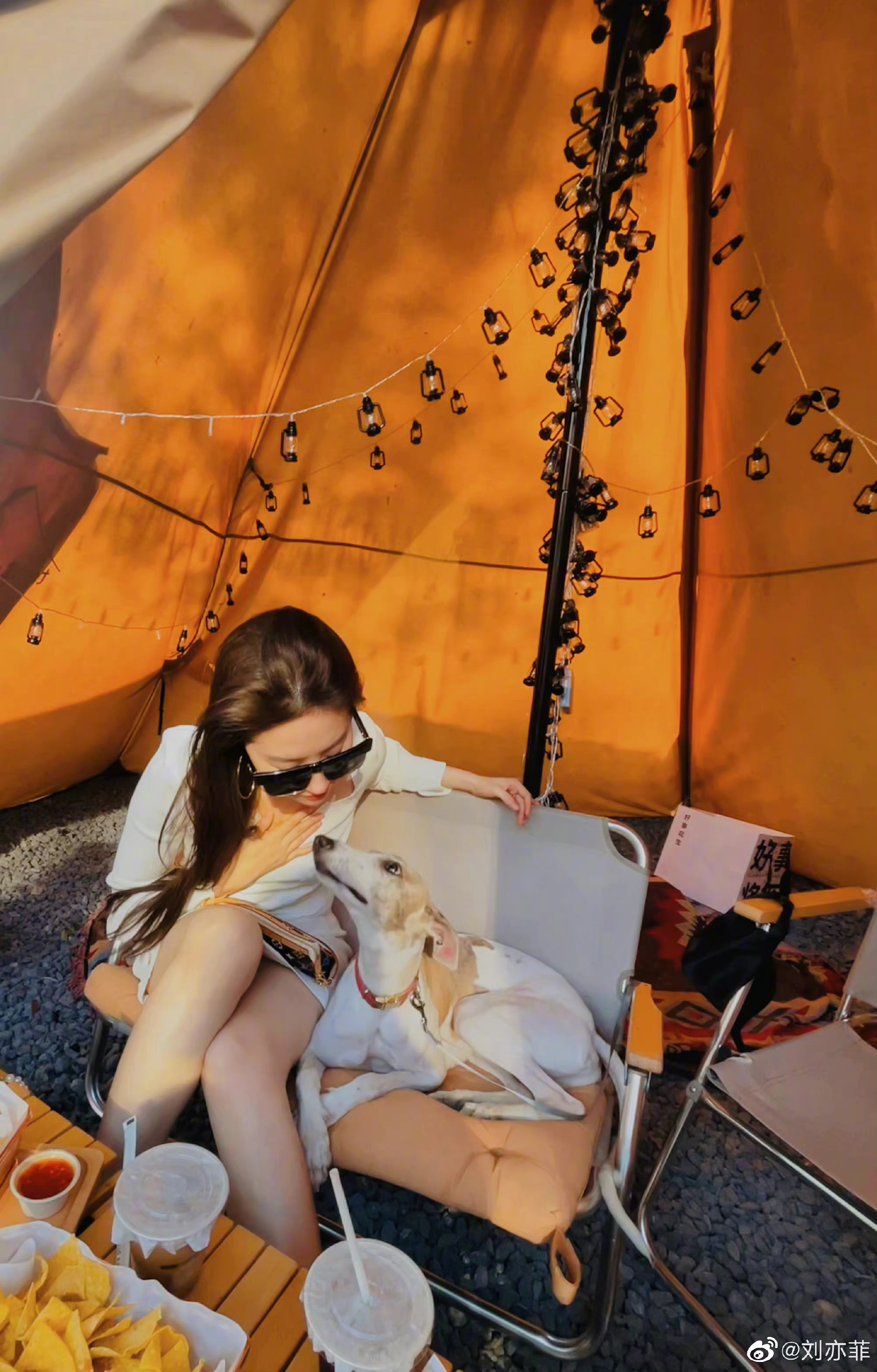 刘亦菲下午茶随拍九宫格plog 新鲜绝美的神仙姐姐