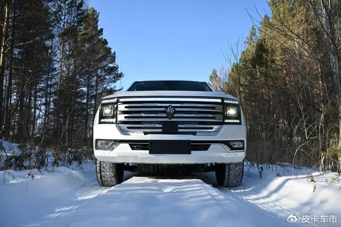 专为特殊环境打造，定制特装版皮卡推荐