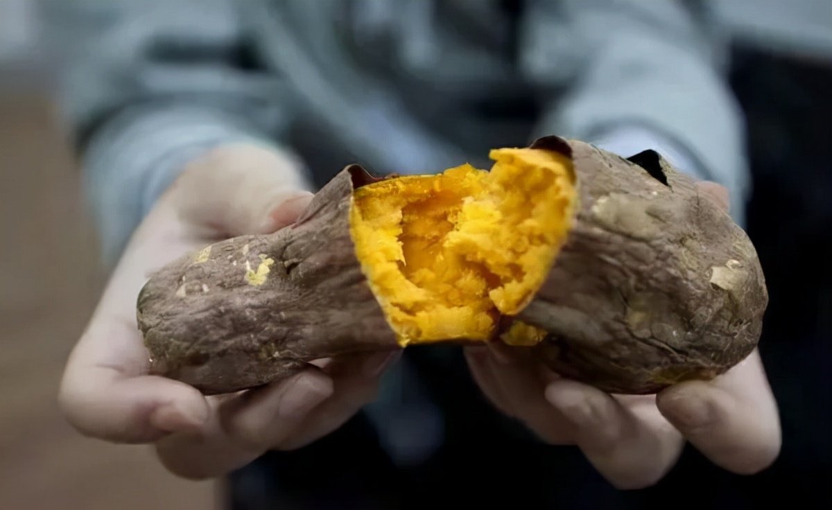 1斤红薯2斤屎不仅升糖还致癌真正不能吃的是这种会中毒