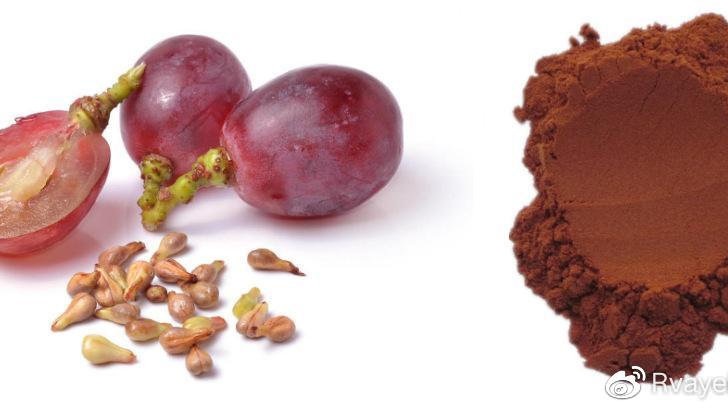 女性抗衰老保健品选择 GNC葡萄籽精华胶囊功效