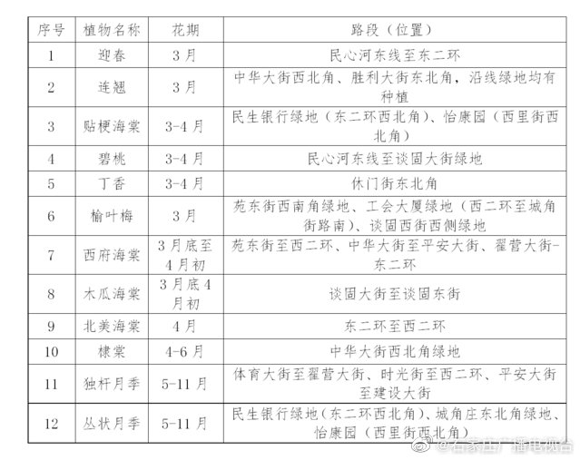 收藏 樱杏桃李次第开