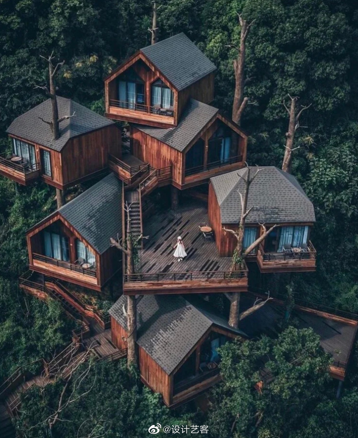 丛林山坡之家,太治愈了