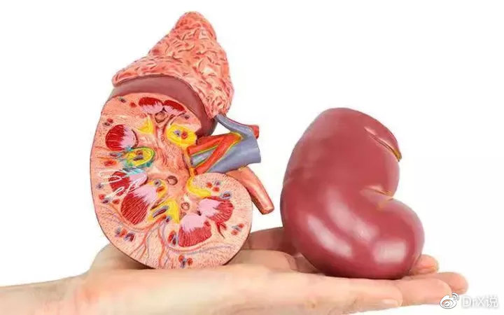 悲剧！尿毒症5年，19岁女孩被父母遗弃！请一定把医生的忠告看完休闲区蓝鸢梦想 - Www.slyday.coM