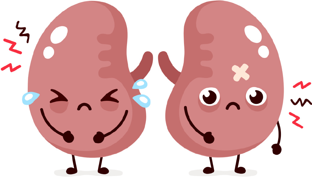 早期肾脏病不疼不痒,体检中这个指标异常要重视!__财经头条