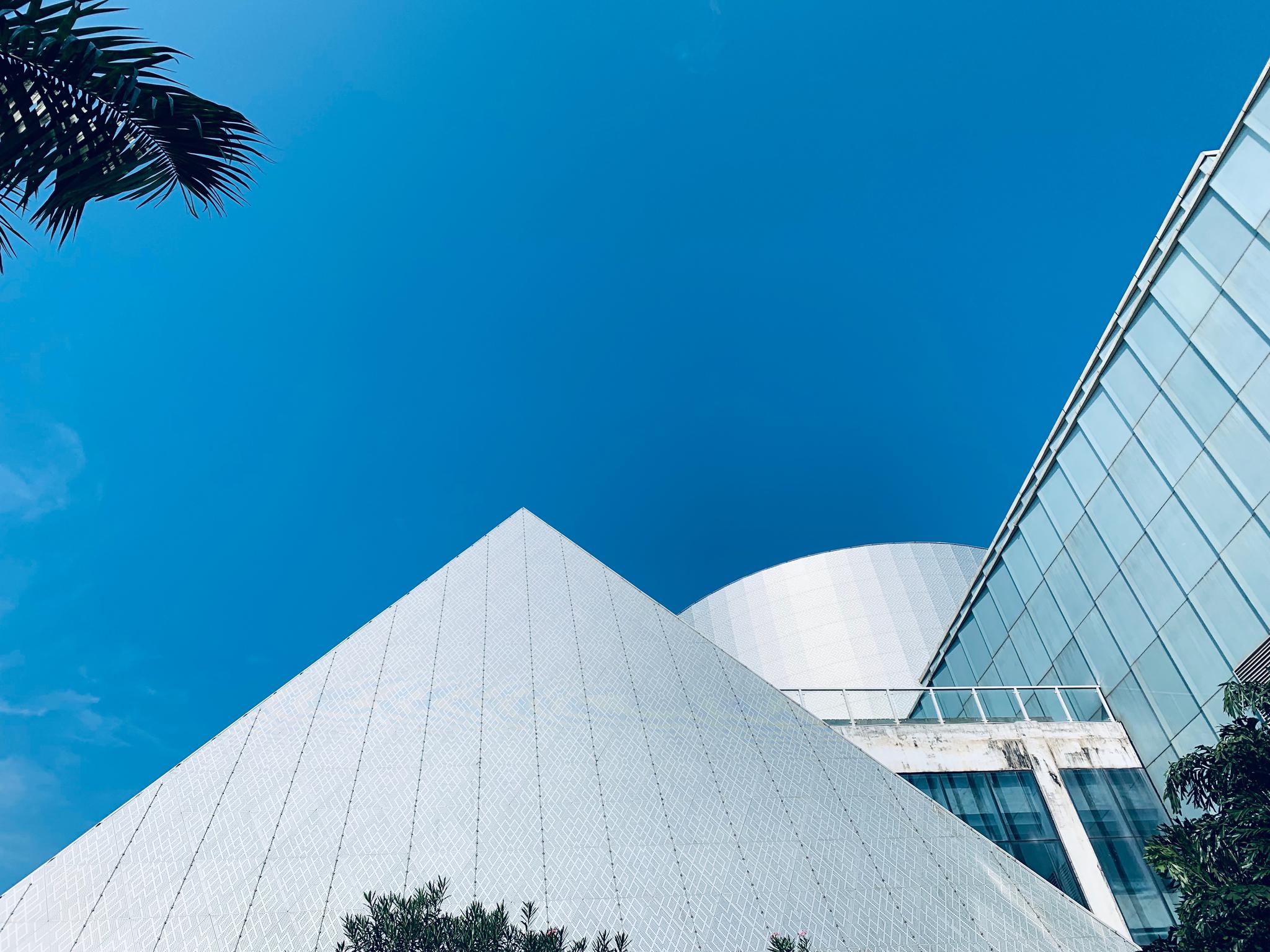 广西美术馆,免门票周末来一场艺术打卡活动吧_高清图集_新浪网