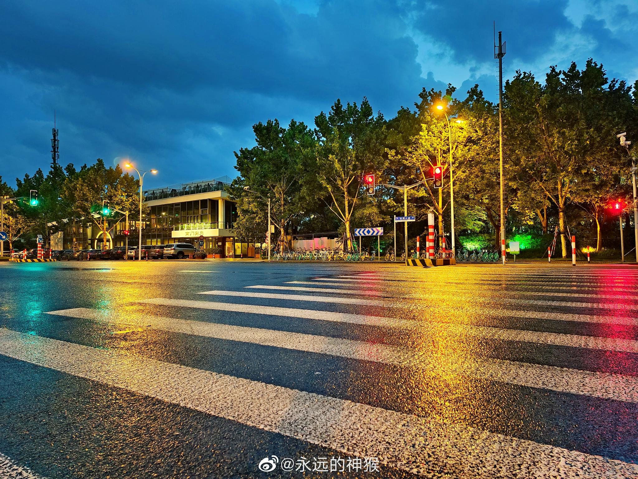 随拍~by vivo x60pro