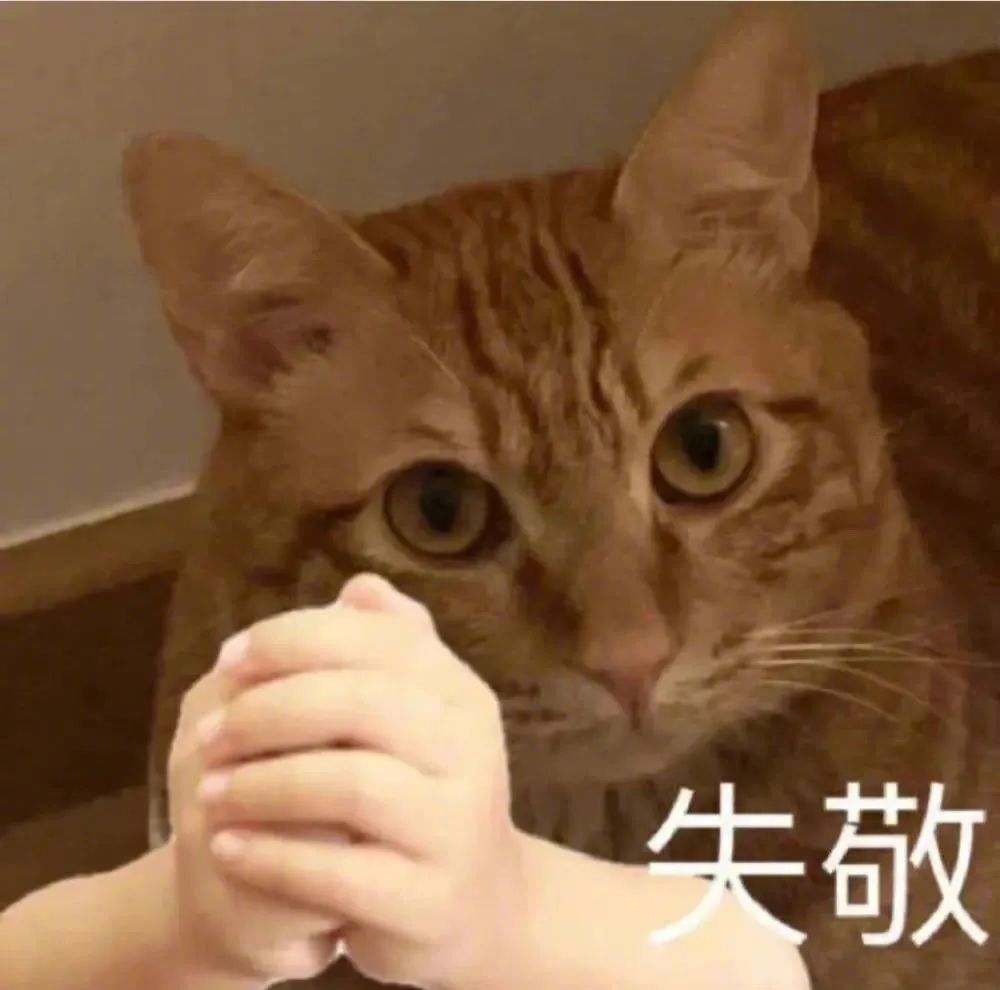 沙雕可爱表情包 今晚有空吗表情包 那我走了表情包……