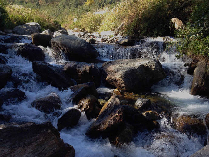 天平山上白云泉,云自无心水自闲.