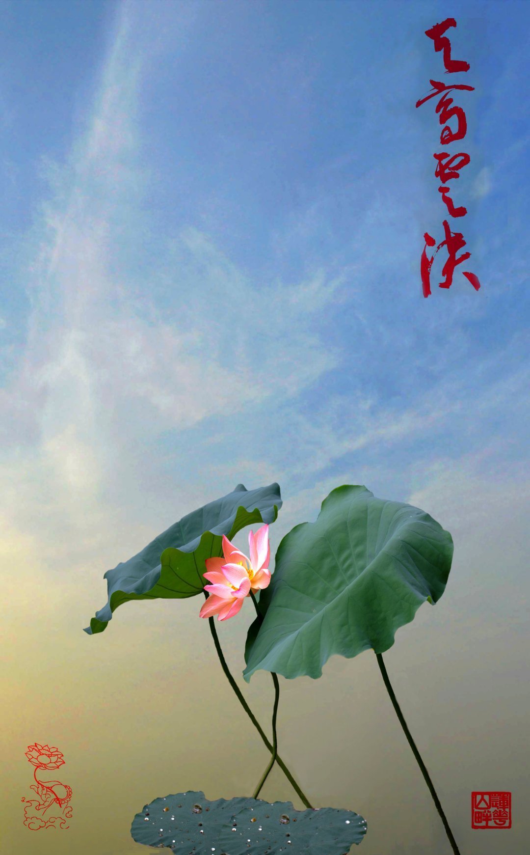 荷花怎么拍才美？我从网友投稿的200张照片里，选出20张经典案例休闲区蓝鸢梦想 - Www.slyday.coM