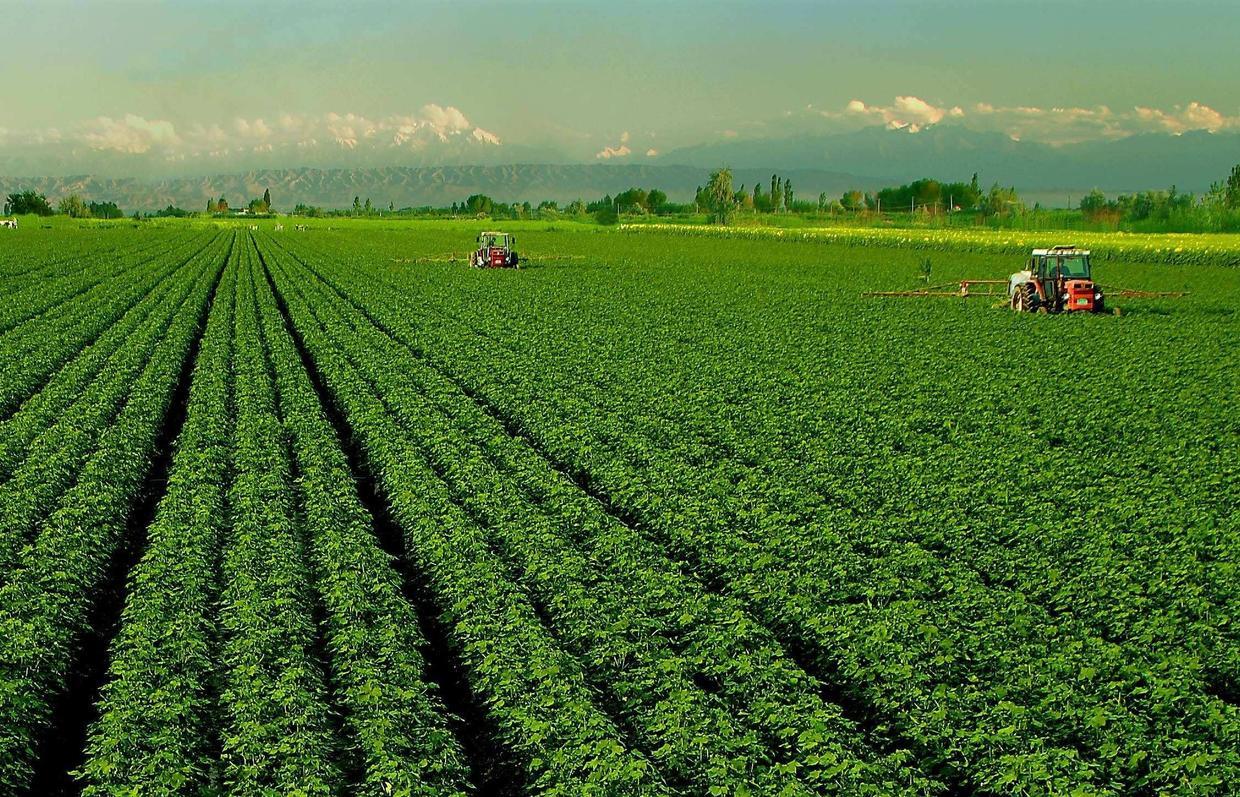 在农业生产方面美国和以色列是非常值得我们学习的两个国家