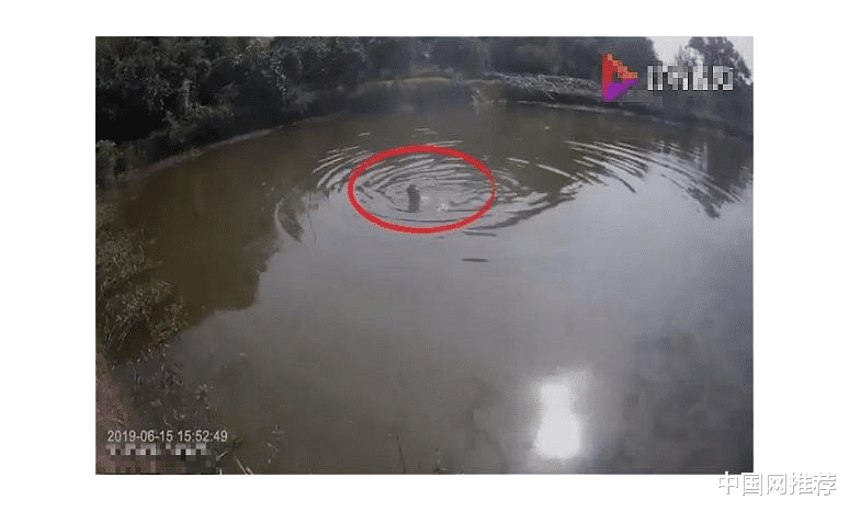 二胎没要成女儿，郑州一男子借酒浇愁后向交警举报自己酒驾休闲区蓝鸢梦想 - Www.slyday.coM