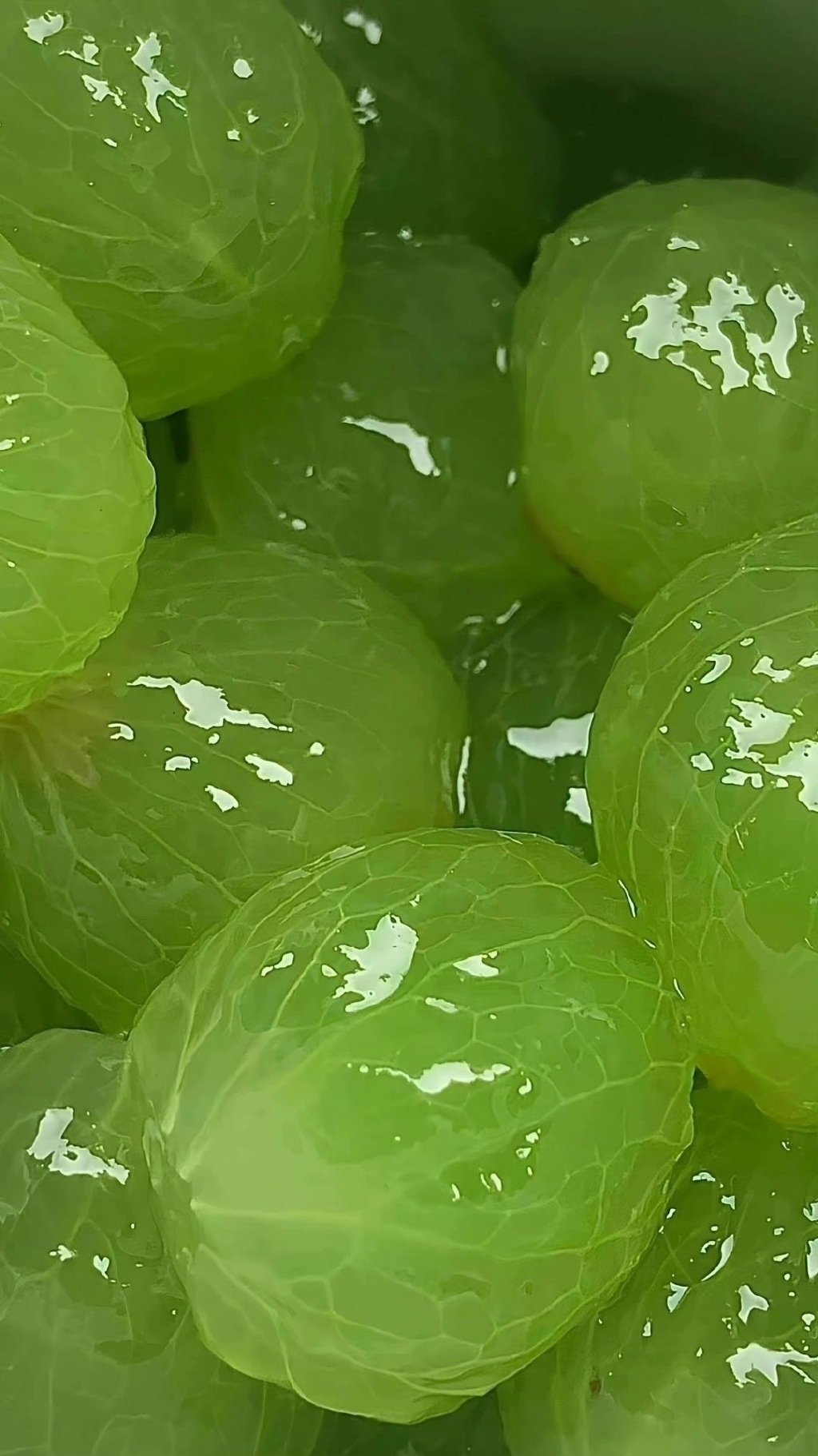 * 存点喜欢的绿色锁屏壁纸