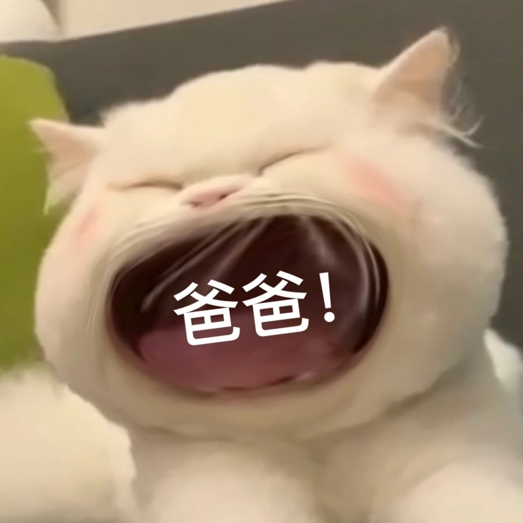 猫咪张大嘴表情包合集_高清图集_新浪网