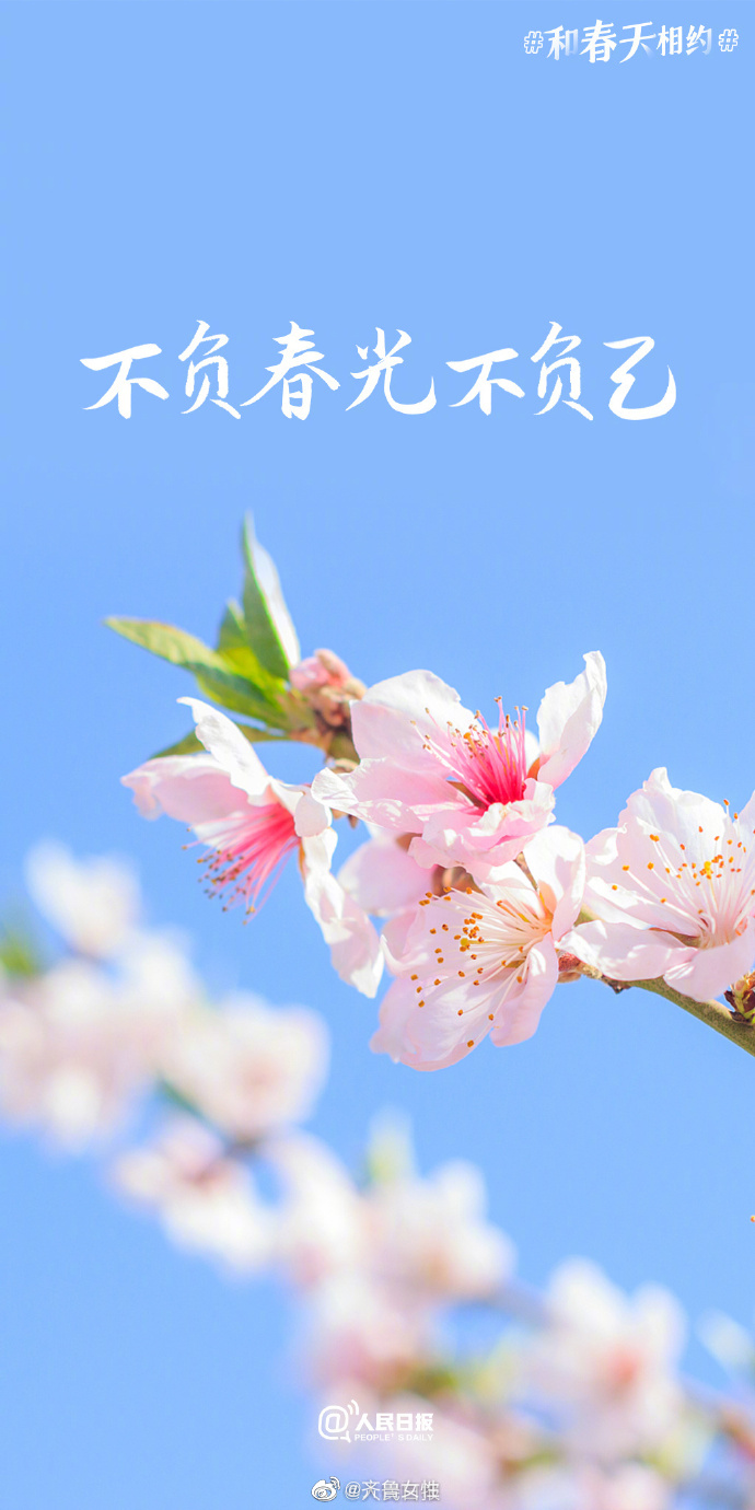 不负春光不负己收藏春日奋斗壁纸