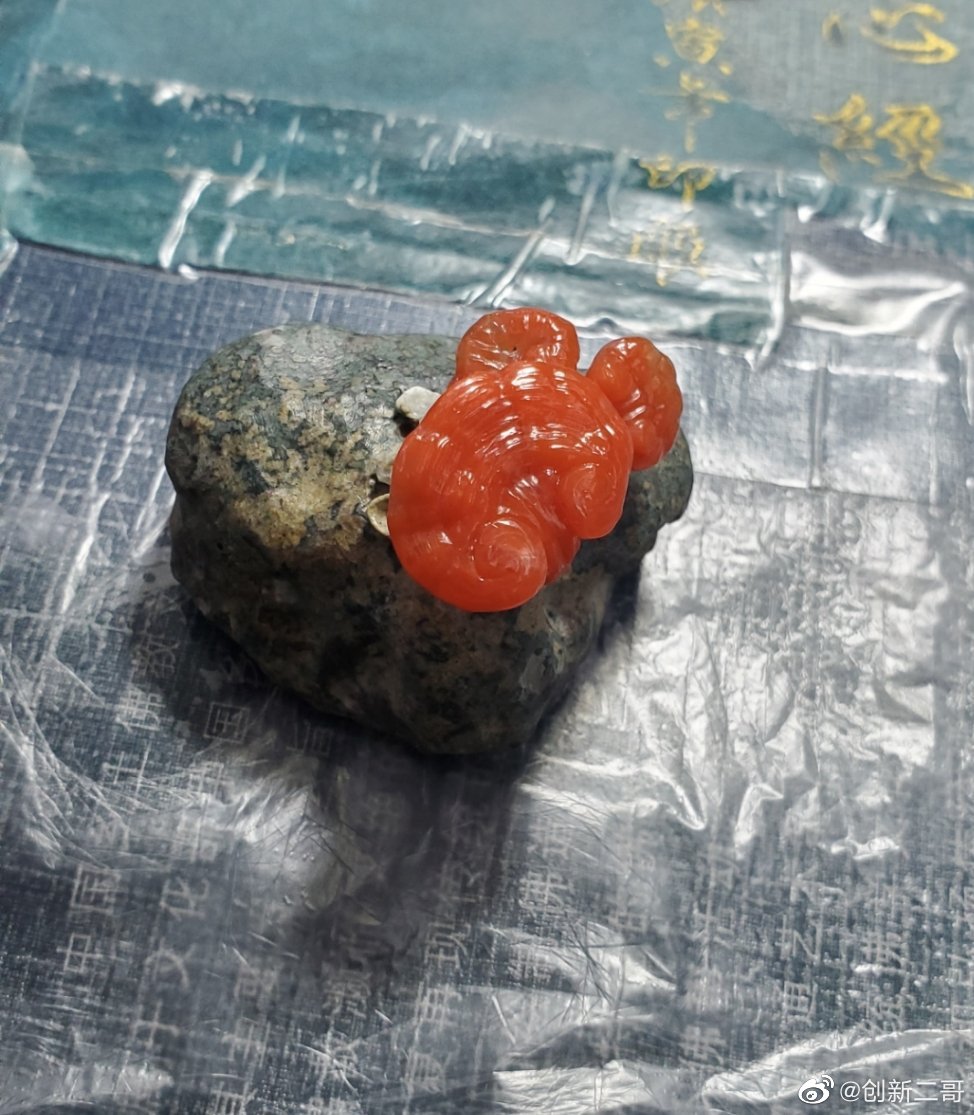 保山料南红如意灵芝,黑色的是南红母岩